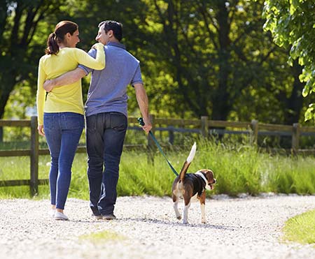 Man and woman walking a dog on a gravel path
