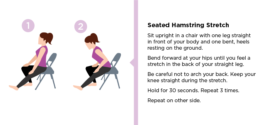 Seated Hamstring Stretch