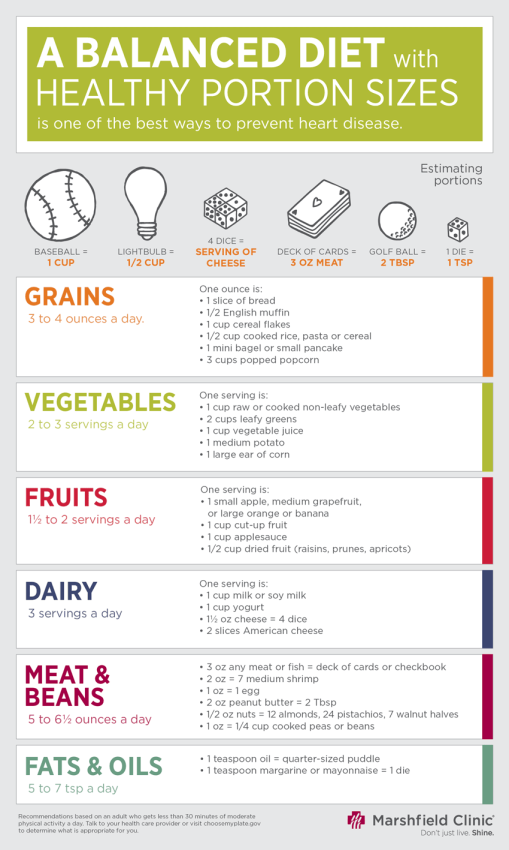 A balanced diet with healthy portions (Infographic)