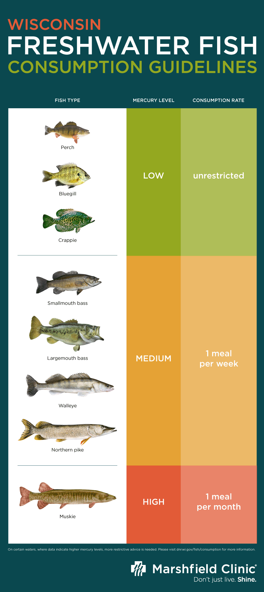 Wisconsin Freshwater Fish Consumption Guidelines Infographic