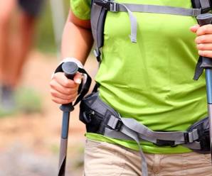 Amp up your strolls with walking poles