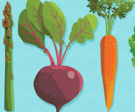 Illustration of healthy foods, carrots, squash, beet, lettuce, asparagus