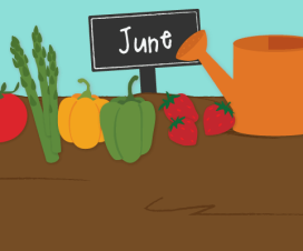Illustration - June produce on the ground next to a watering can