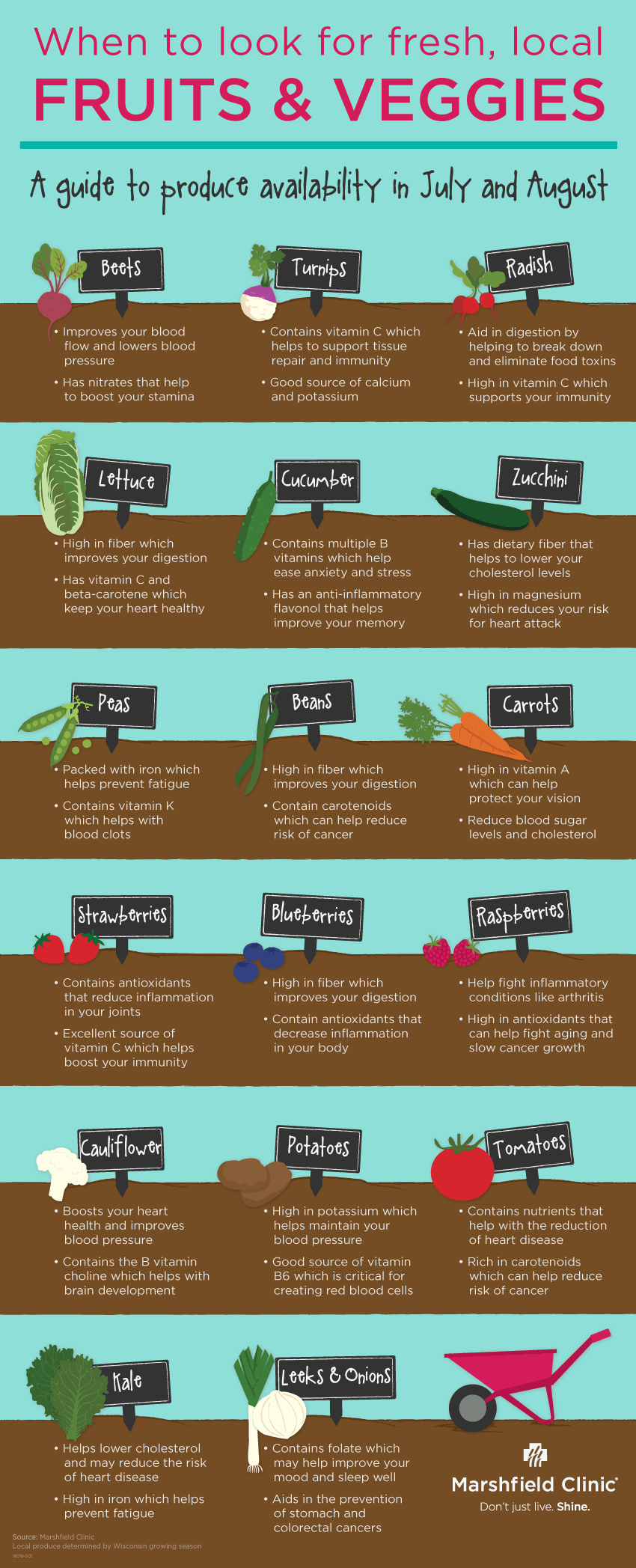 Farmer's Market Chart - July and August