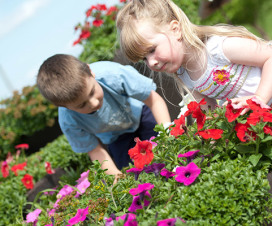 Two kids smelling flowers in the park