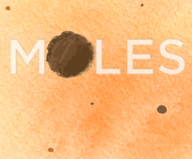 Illustration of moles