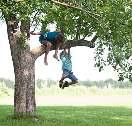 boy hanging from tree branch