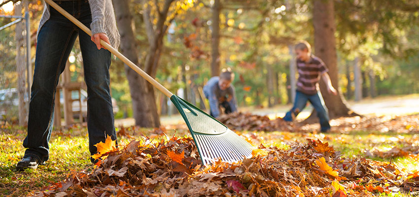 Proper form for fall yardwork: Dance with your rake | Shine365 from ...