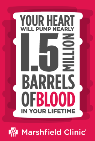 Barrels of Blood Fact Graphic