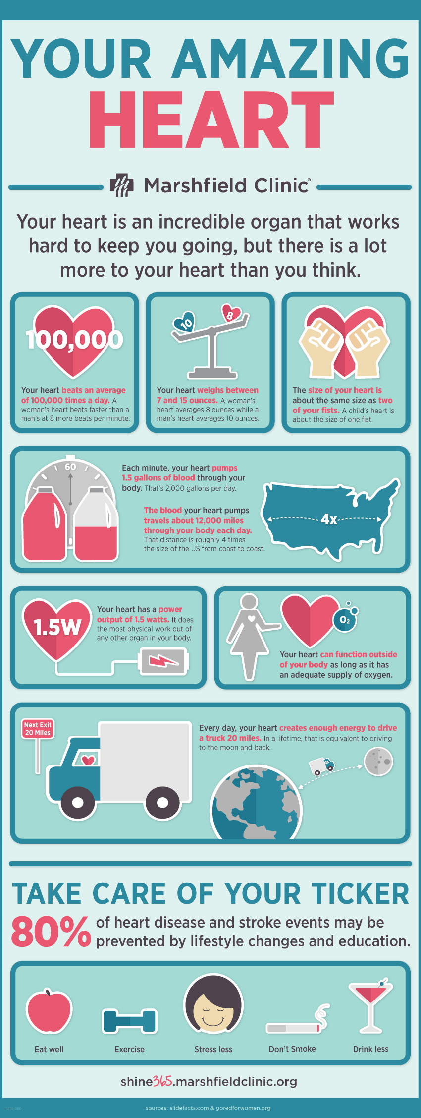 Amazing facts about your heart - infographic