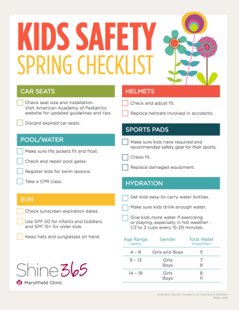 Preview of Safety Checklist
