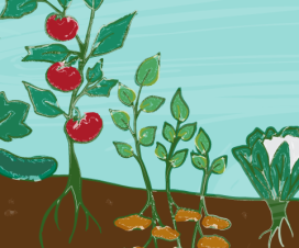 Garden illustraion - Tips for planting a colorful garden
