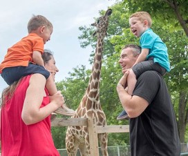 Family enjoying the day at the zoo - Take a vacation for your health