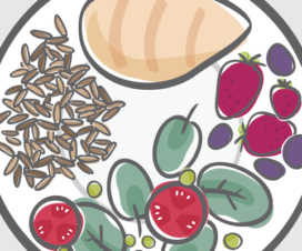 Illustration, healthy plate portions for a balanced meal