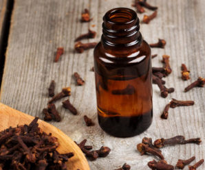 Clove oil and cancer prevention claims: A word of caution