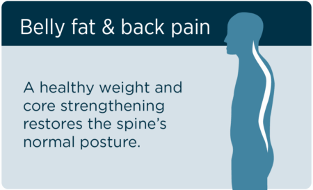 More weight around the midsection pulls the spine, increasing its bend.