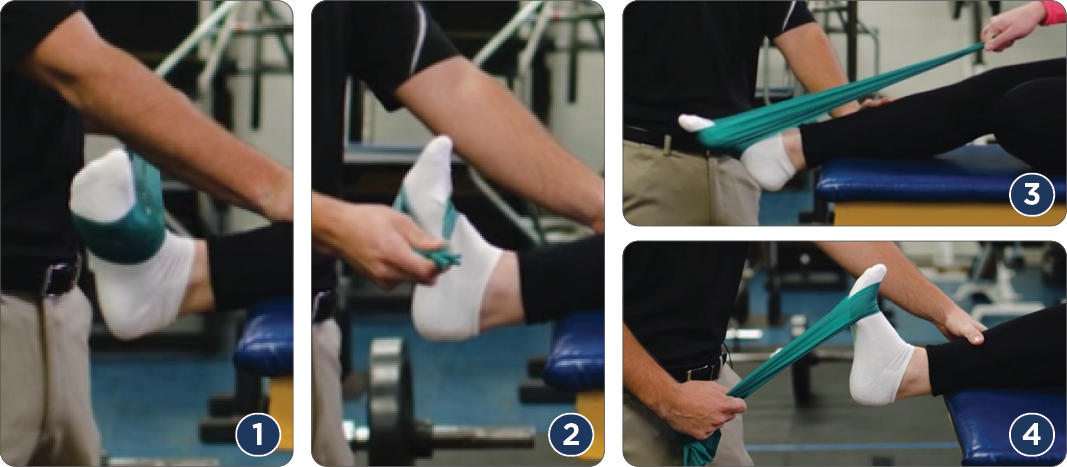 inversion, eversion, plantar flexion and dorsiflexion band ankle strengthening exercises after sprain