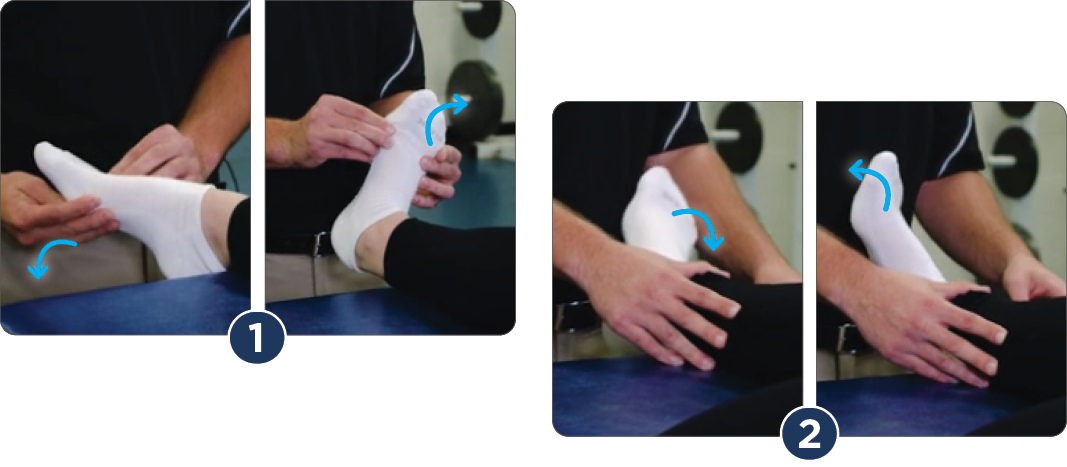 proprioceptive neuromuscular facilitation (PNF) ankle strengthening exercises after sprain