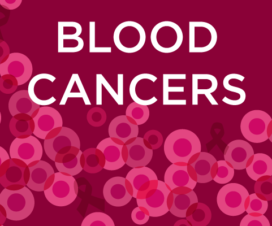 Blood cancers illustration - blood cells and awareness ribbons on a red background