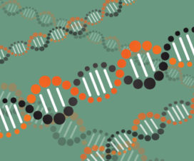 DNA illustration