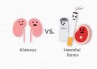 Kidneys vs. harmful items - graphic, kidney health