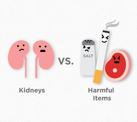 kidneys vs harmful items 6-20 inside