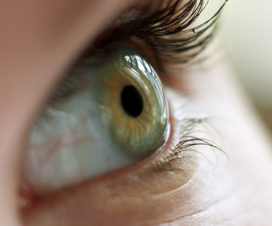 Closeup of eye - Eye floaters