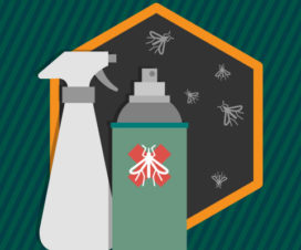 Mosquito Repellent Graphic