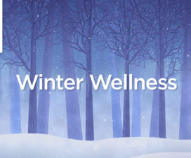Snowy landscape of a forest, illustrated - Winter Wellness Video