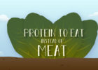 Protein to eat instead of meat, graphic - Meatless proteins