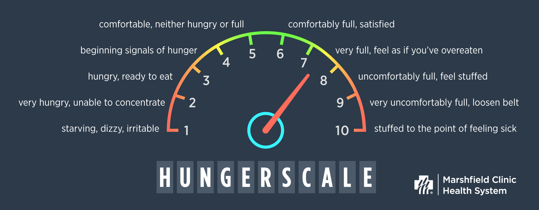hunger scale updated