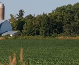 Image of farm field