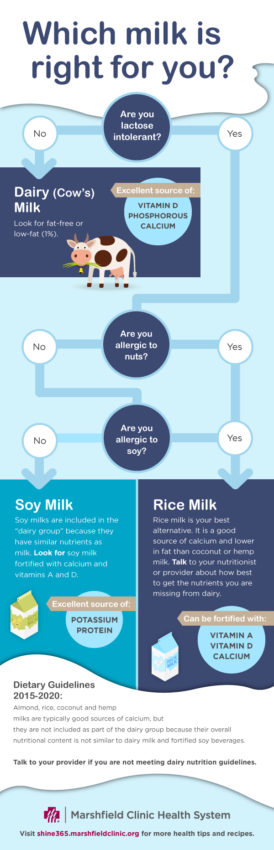 Infographic on milk substitutes