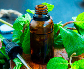 Photo of essential oil surrounded by leaves