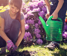 Kids / Yard Chores / Safety in Garden