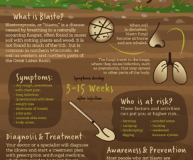 blasto-infographic