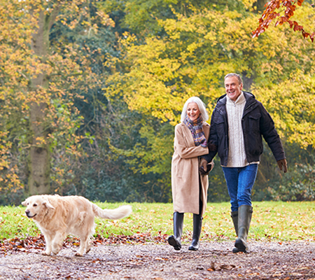 Loving Senior Couple Walking With Pet Golden Retriever Dog Along Autumn Woodland Path Through Trees after hip and knee replacement