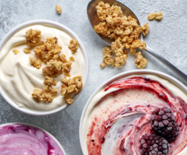 different types of yogurt