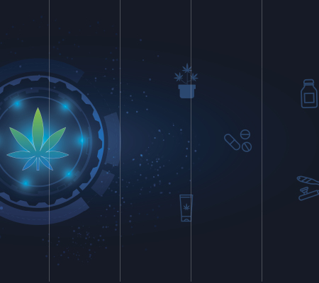 graphic of a marijuana leaf depicting marijuana vs. THC vs. CBD