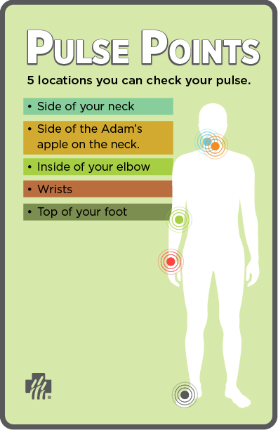 pulse points how to find your pulse or heart rate