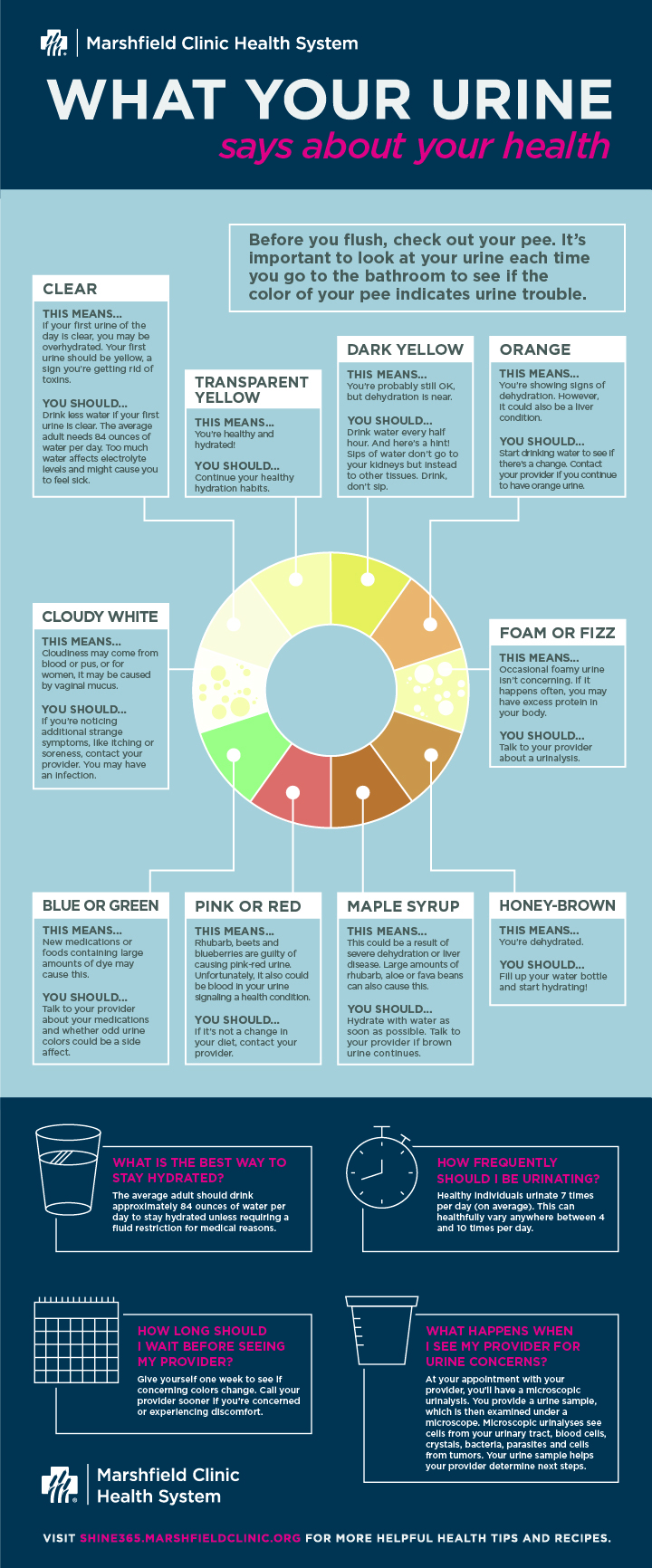 what your urine color says about your health, clear urine, transparent yellow urine, dark yellow urine, orange urine, cloudy white urine, form or fizz in your urine, blue or green urine, maple syrup urine, honey brown urine